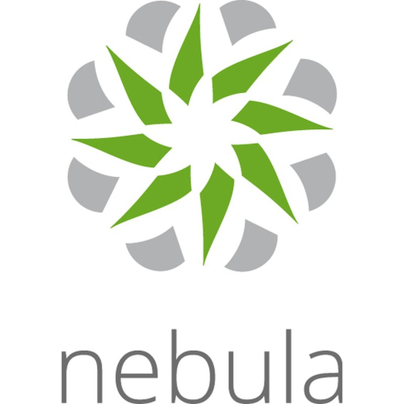 Zyxel LIC-NPRO-ZZ1Y00F licencia y actualización de software 1 licencia(s) 1 año(s)