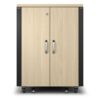 APC AR4017IA armario rack 17U Rack o bastidor independiente Color madera de arce, Negro APC AR4017IA armario rack 17U Rack o bastidor independiente Color madera de arce, Negro