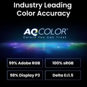 BenQ SW242Q pantalla para PC 61,2 cm (24.1") 2560 x 1600 Pixeles WQXGA LED Negro