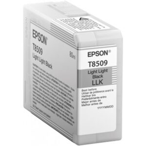 Epson Singlepack Light Light Black T850900