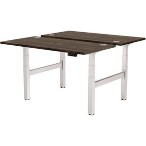 Fellowes Estructura Metálica para Mesa Doble Regulable en Altura Cambio Plata