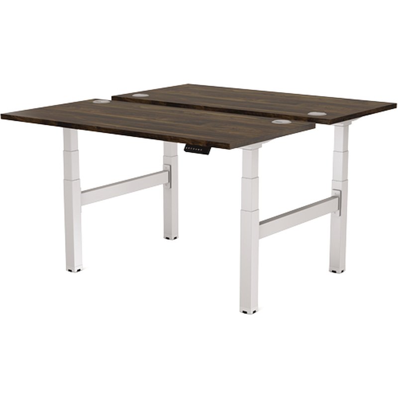 Fellowes Estructura Metálica para Mesa Doble Regulable en Altura Cambio Plata - Imagen 3