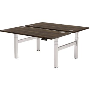 Fellowes Estructura Metálica para Mesa Doble Regulable en Altura Cambio Plata