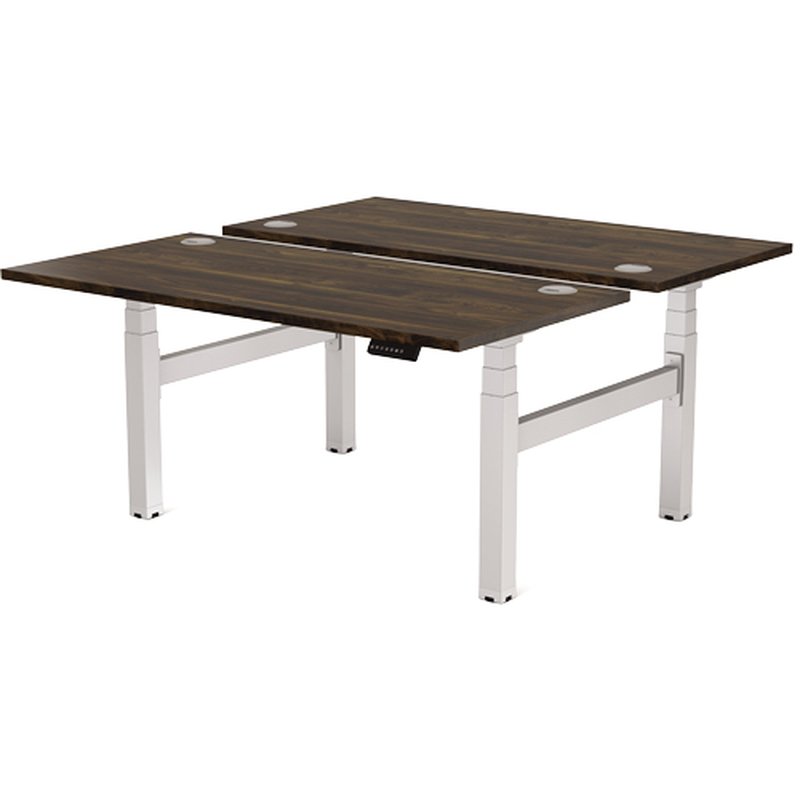 Fellowes Estructura Metálica para Mesa Doble Regulable en Altura Cambio Plata - Imagen 4