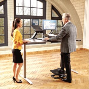 Fellowes Hana Negro Fellowes Hana Negro