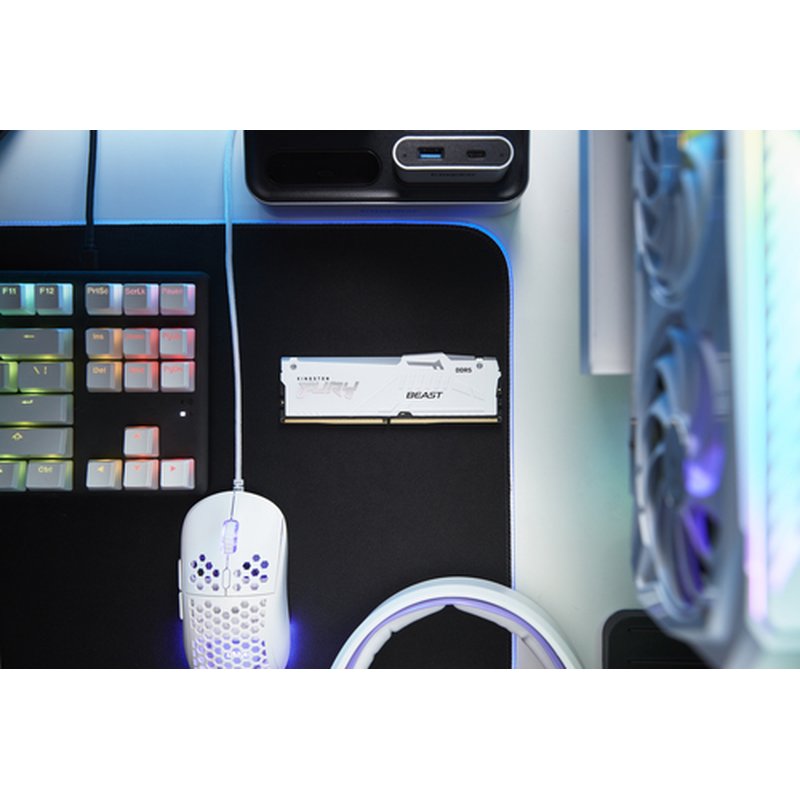 Kingston Technology FURY Beast RGB módulo de memoria 16 GB 1 x 16 GB DDR5 ECC - Imagen 8