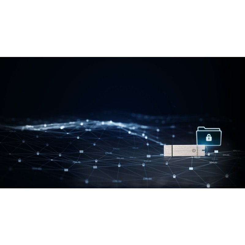 Kingston Technology IronKey S1000 unidad flash USB 32 GB USB tipo A 3.2 Gen 1 (3.1 Gen 1) Plata Kingston Technology IronKey S1000 unidad flash USB 32 GB USB tipo A 3.2 Gen 1 (3.1 Gen 1) Plata - Imagen 12