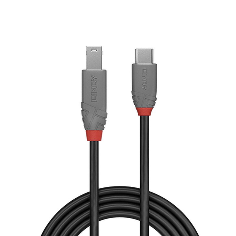 Lindy 36667 cable USB 2 m USB 3.2 Gen 1 (3.1 Gen 1) USB C USB B Negro - Imagen 2