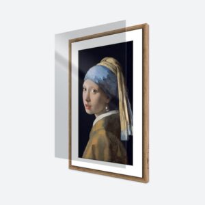 Alternative view of NETGEAR MCAP321