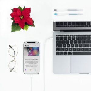 Nanocable CABLE LIGHTNING A USB-C 1M cable USB