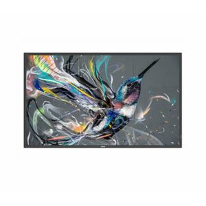 Philips 65BDL3650QE/00 pantalla de señalización Pantalla plana para señalización digital 165,1 cm (65") LCD Wifi 300 cd / m² 4K Ultra HD Negro Procesador incorporado Android 10 18/7