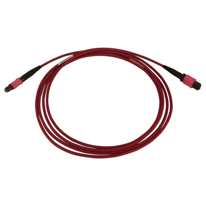 Tripp Lite N845B-02M-12-MG Cable de Fibra Óptica Multimodo 50µm / 125µm OM4 de 100G (12F MTP/MPO-PC H/H), LSZH, Magenta, 2 m [6.6 pies] - Imagen 2