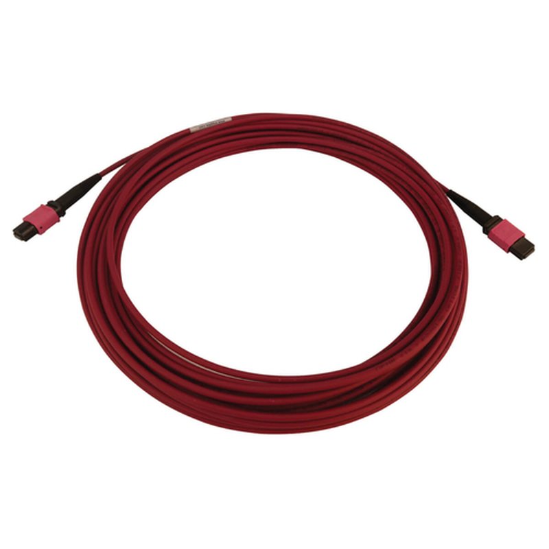 Tripp Lite N845B-10M-12-MG Cable de Fibra Óptica Multimodo 50µm / 125µm OM4 de 100G (12F MTP/MPO-PC H/H), LSZH, Magenta, 10 m [32.8 pies] - Imagen 2
