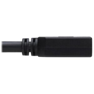 Tripp Lite P579-015 Cable de Extensión DisplayPort con Broche, 4K a 60 Hz, HDCP 2.2 (M/H), 4.57 m [15 pies]