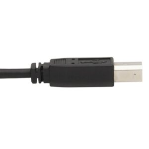 Tripp Lite P783-006-DPU cable para video, teclado y ratón (kvm) Negro 1,83 m
