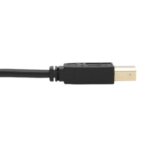 Tripp Lite P783-006-DPU cable para video, teclado y ratón (kvm) Negro 1,83 m