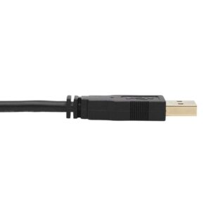 Tripp Lite P783-006-U cable para video, teclado y ratón (kvm) Negro 1,83 m
