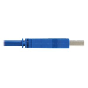Tripp Lite P785-DPKIT10 cable para video, teclado y ratón (kvm) Negro, Azul 3,5 m