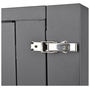 Tripp Lite SRW12USDPG Gabinete SmartRack 12U para Instalación en la Pared con Profundidad de UPS con ventana de acrílico transparente y parte posterior abisagrada