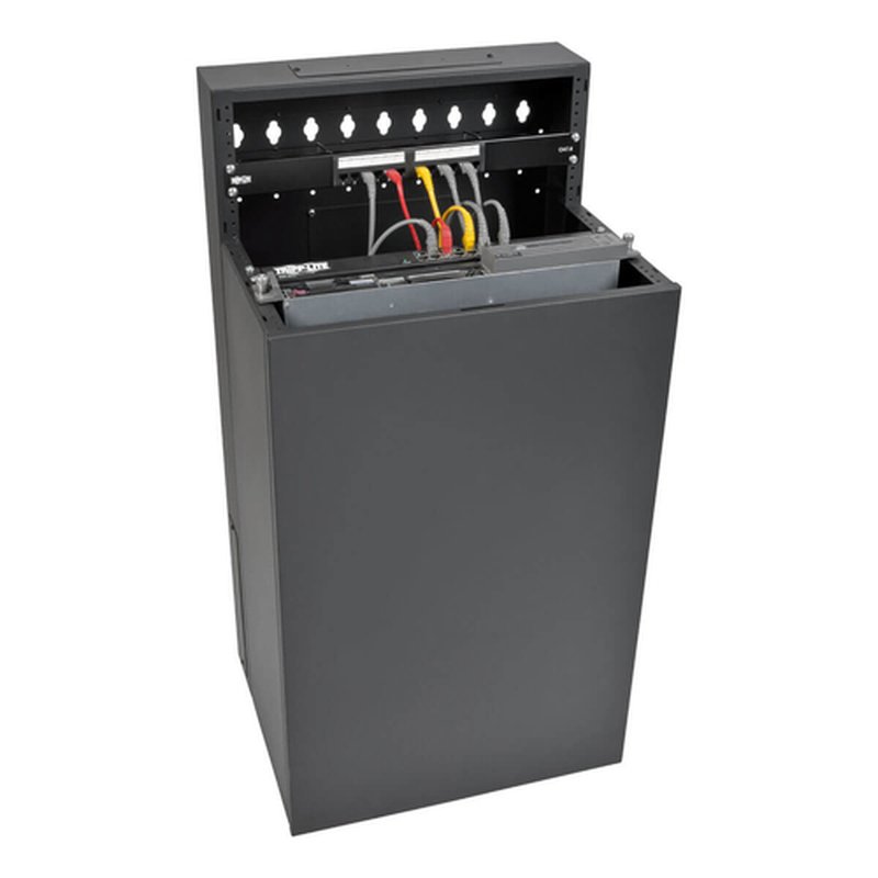 Tripp Lite SRWF12U38 Gabinete Smartrack de 12U de Bajo Perfil, de Profundidad de Switch para Instalacion Vertical en Pared Tripp Lite SRWF12U38 Gabinete Smartrack de 12U de Bajo Perfil, de Profundidad de Switch para Instalacion Vertical en Pared - Imagen 2