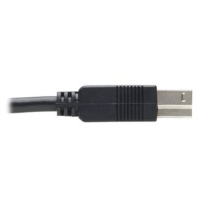 Tripp Lite U328F-20M cable USB USB 3.2 Gen 1 (3.1 Gen 1) USB A USB B Negro