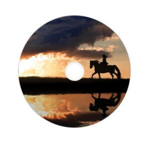 Verbatim 43703 DVD en blanco 8,5 GB DVD-R 50 pieza(s)