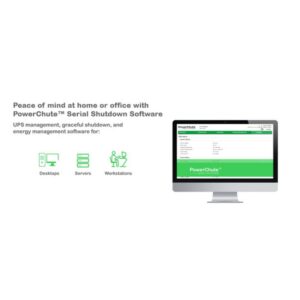 APC Back-UPS En espera (Fuera de línea) o Standby (Offline) 0,65 kVA 400 W 4 salidas AC