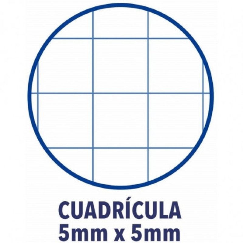 BLOC ENCOLADO COLOR 1 TAPA BLANDA A4+ 80 HOJAS 5X5 COLOR ROSA CHICLE  OXFORD 400123681 - Imagen 3