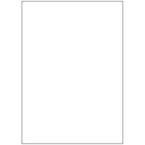 CAJA ETIQUETAS 100H MEGASTAR 210X297