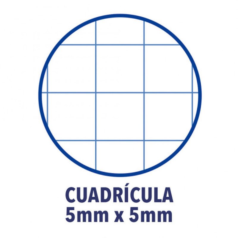 CUADERNO EUROPEANBOOK 1 TAPA EXTRADURA A4+ 80 HOJAS 5X5 COLOR AZUL OSCURO OXFORD 100430197 - Imagen 3