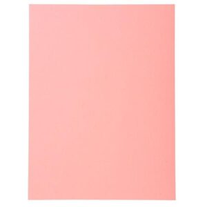 EXACOMPTA Paq.100 subcarpetas Forever 220g rosa