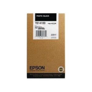 Epson Cartucho T614100 negro foto