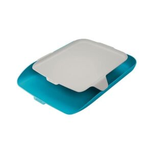 Leitz 52590061 bandeja de escritorio/organizador Poliestireno (PS) Azul