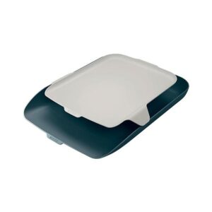 Leitz 52590089 bandeja de escritorio/organizador Poliestireno (PS) Negro