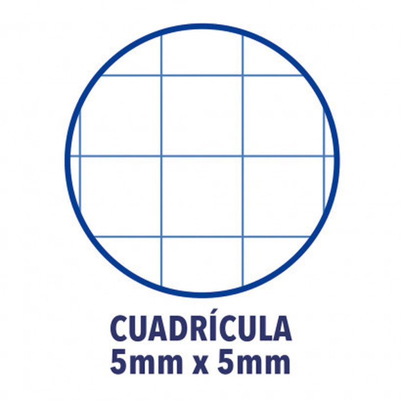 Oxford Europeanbook 1 cuaderno y block A4 80 hojas Amarillo - Imagen 3