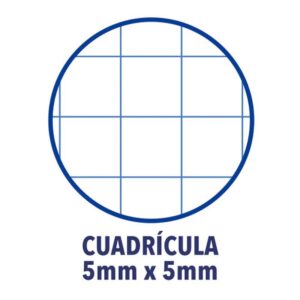 Oxford Live & Go carpeta de cartón A4+ Colores surtidos