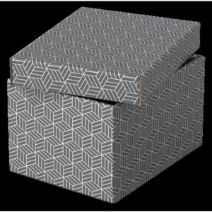 Esselte 628281 caja de almacenaje Rectangular Cartón Gris