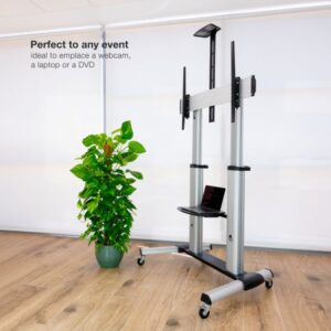 TooQ Partenón 2,54 m (100") Plata