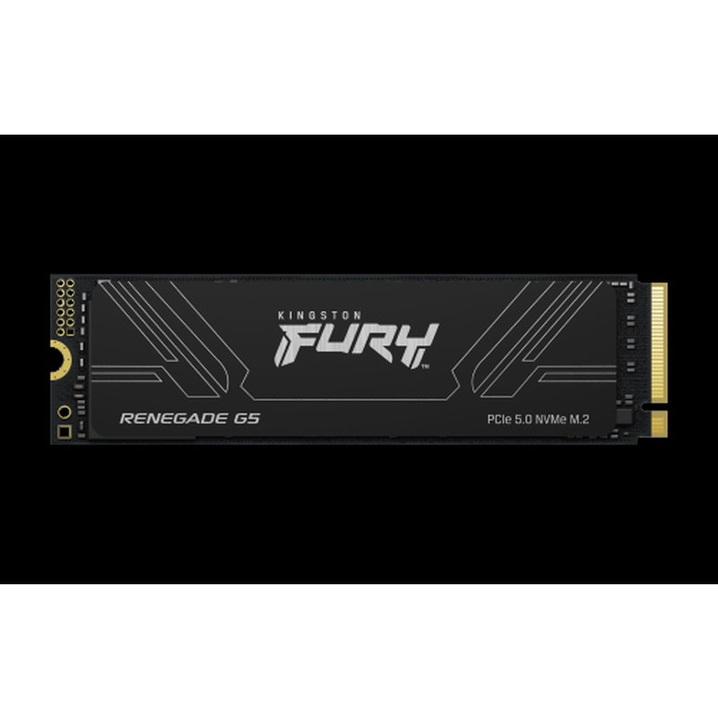 Kingston Technology 1T FURY RENEGADE G5 M.2 2280 NVMe SSD Kingston Technology 1T FURY RENEGADE G5 M.2 2280 NVMe SSD