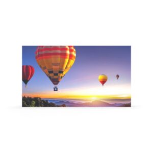 NEC LED-E025i Transparent (mesh) LED