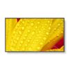 NEC M501-2 Diseño de quiosco 127 cm (50") LED 4K Ultra HD Negro Procesador incorporado