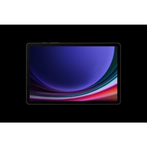 Samsung Galaxy Tab S9 SM-X710N 256 GB 27,9 cm (11") Qualcomm Snapdragon 12 GB Wi-Fi 6 (802.11ax) Android 13 Grafito Samsung Galaxy Tab S9 SM-X710N 256 GB 27,9 cm (11") Qualcomm Snapdragon 12 GB Wi-Fi 6 (802.11ax) Android 13 Grafito