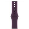 Apple Watch 40 Plum Sb M/L Apple Watch 40 Plum Sb M/L