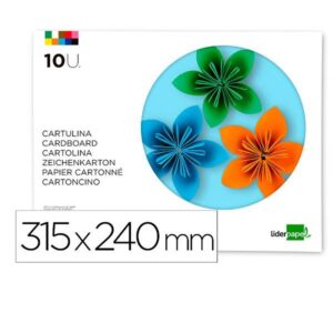 BLOC TMAN CAR 240X315 10H