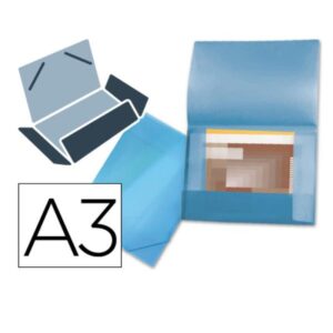 CARPPDOC 44802 PO A3 AZ TR L