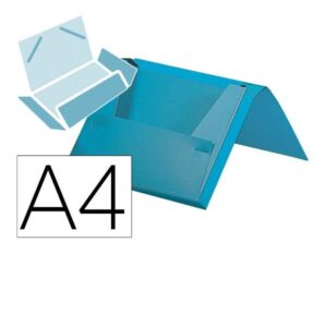 CARP PDOC GOMAS POL A4 CEL L25