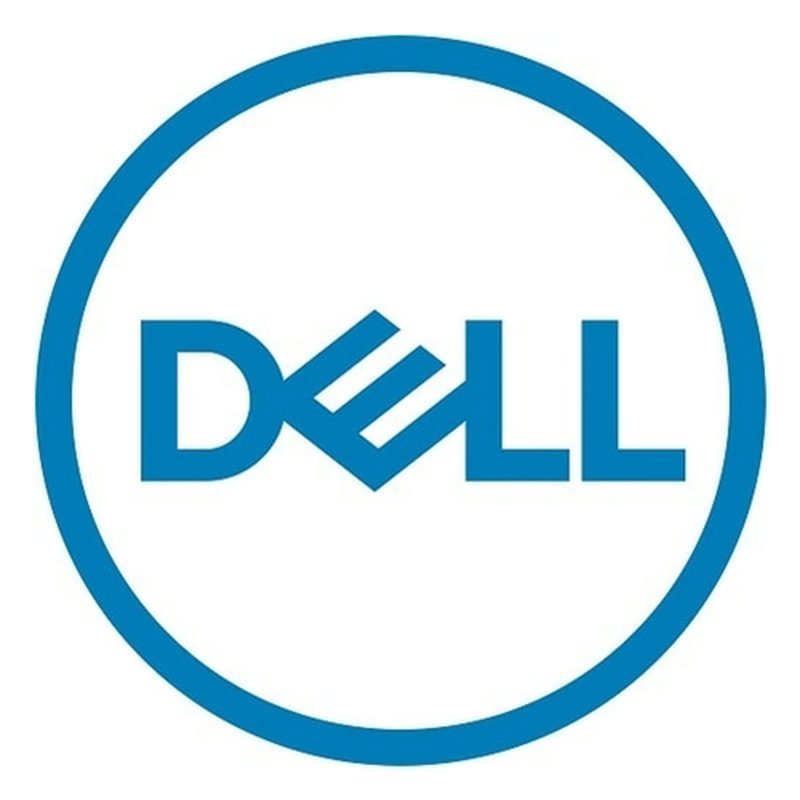 DELL 461-AAEN módulo de plataforma de confianza (TPM) 2.0