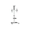 Equip 650602 soporte para pantalla de señalización 177,8 cm (70") Negro, Blanco