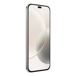 Honor 400 Lite 17 cm (6.7") SIM doble MagicOS 9.0 5G MicroUSB 8 GB 256 GB 5230 mAh Gris