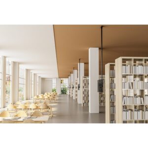 Neomounts CL35-440BL16XL Soporte de techo para monitor/TV 37-70" - alt. 250-300 cm